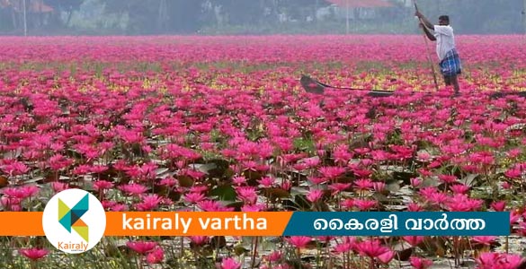 അയ്മനം ആമ്പല്‍ വസന്തം, കനാല്‍ ടൂറിസം ഫെസ്റ്റ്; വെള്ളിയാഴ്ച തുടക്കം