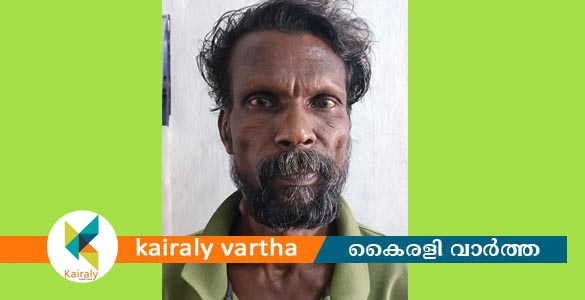 വൈക്കത്ത് വീട്ടിൽ അതിക്രമിച്ച് കയറി അക്രമം നടത്തിയ പ്രതി അറസ്റ്റിൽ