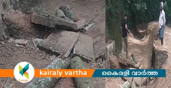 നെയ്യാറ്റിന്‍കരയില്‍ തെങ്ങ് കടപുഴകി വീണ് രണ്ടുപേര്‍ക്ക് ദാരുണാന്ത്യം