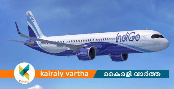 ഇൻഡി​ഗോ വിമാനത്തിനുള്ളിൽ എലി; കണ്ടെത്താനായി മണിക്കൂറുകളോളം തിരച്ചിൽ