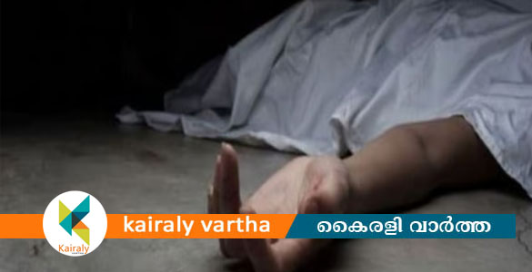 മലപ്പുറത്ത് പൊട്ടിവീണ വൈദ്യുതി ലൈനിൽ നിന്ന് ഷോക്കേറ്റു; വയോധികന് ദാരുണാന്ത്യം