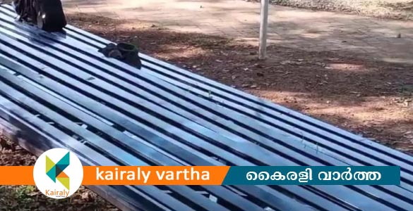 പാലാ സെന്റ് തോമസ് കോളേജ് ഗ്രൗണ്ടിലെ താല്‍ക്കാലിക ഗ്യാലറി തകര്‍ന്നുവീണു; വിദ്യാർഥികൾക്ക് പരിക്ക്