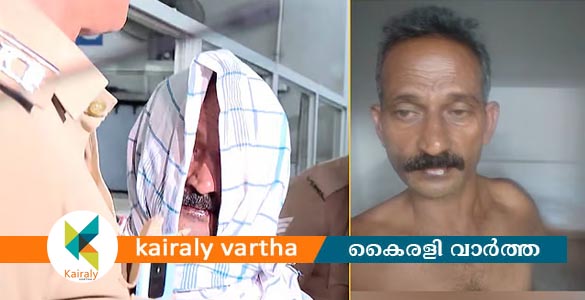 പെൺകുട്ടിയെ ട്രെയിനില്‍ നിന്ന് തള്ളിയിട്ട സംഭവം: പ്രതിക്കെതിരെ വധശ്രമത്തിന് കേസ്