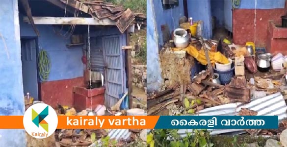 വാൽപ്പാറയിൽ കാട്ടാന ആക്രമണം; തോട്ടം തൊഴിലാളിയുടെ വീട് തകർത്തു