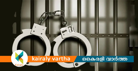 ഡോക്ടറുടെ മുഖത്തടിച്ച യുവതിയും ഡോക്ടറെന്ന പേരിൽ സന്ദേശമയച്ച ആൾമാറാട്ടക്കാരനും അറസ്റ്റിൽ
