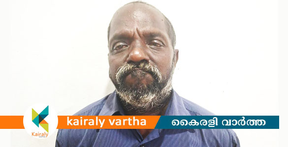 കൊലപാതക കേസിൽ ജാമ്യത്തിൽ ഇറങ്ങി ഒളിവിൽ പോയ പ്രതി അറസ്റ്റിൽ