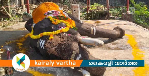 മുല്ലയ്ക്കല്‍ ബാലകൃഷ്ണന്‍ ചെരിഞ്ഞു