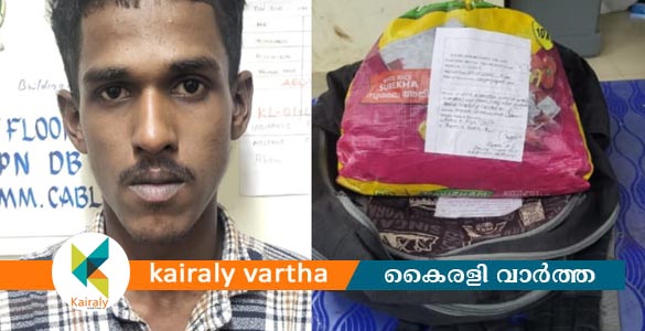 കോട്ടയത്ത് ഒന്നേകാൽ കിലോ കഞ്ചാവുമായി യുവാവ് എക്സൈസ് പിടിയിൽ