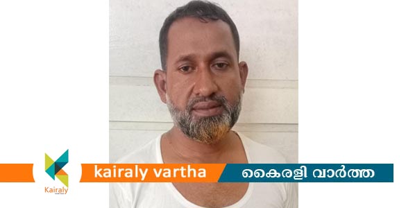 ഈരാറ്റുപേട്ടയിൽ 12 ലക്ഷം രൂപ വിലവരുന്ന സ്വർണം കവർന്ന കേസിലെ പ്രതി പിടിയിൽ