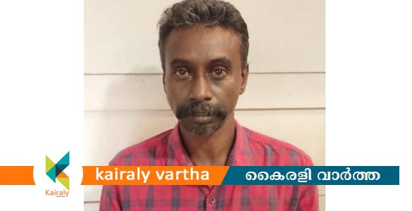 വീടുകൾ കുത്തിത്തുറന്ന് മോഷണം; ചങ്ങനാശ്ശേരിക്കാരുടെ ഉറക്കം കെടുത്തിയ മോഷ്ടാവ് പിടിയിൽ