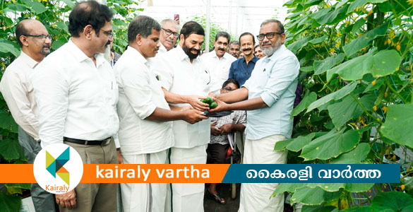 സംസ്ഥാനത്ത് സഹകരണ വകുപ്പിന്റെ നേതൃത്വത്തില്&zwj; നെല്ല് സംഭരണം തുടങ്ങി- മന്ത്രി പി.പ്രസാദ്