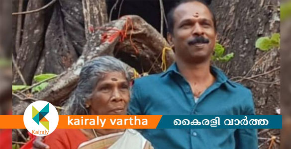 വൈക്കത്ത് അമ്മയും മകനും വീടിനുള്ളിൽ തൂങ്ങിമരിച്ച നിലയിൽ