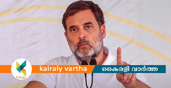 'റബറിന്റെ താങ്ങുവില 250 രൂപയാക്കും'; ആദ്യ മന്ത്രിസഭാ യോഗത്തില്&zwj; തീരുമാനമെന്ന് രാഹുല്&zwj; ഗാന്ധി