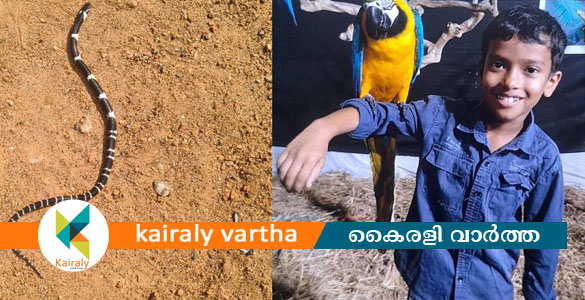 കൊടകരയിൽ എട്ടു വയസുകാരൻ്റെ മരണം പാമ്പിൻ വിഷം ഉള്ളില്&zwj; ചെന്ന്; പോസ്റ്റുമോർട്ടം റിപ്പോര്&zwj;ട്ട് പുറത്ത്