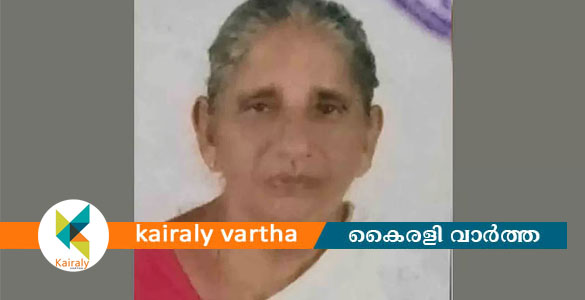 ഇടുക്കിയില്&zwj; പാമ്പുകടിയേറ്റ് വയോധികയ്ക്ക് ദാരുണാന്ത്യം