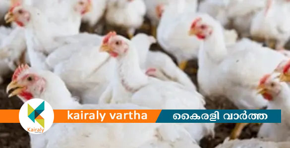 ഉ​ച്ച​ത്തി​ലു​ള്ള ഡിജെ കാരണം 140 കോ​ഴി​ക​ൾ ചത്തു; ഫാം ഉടമയുടെ പരാതിയിൽ കേസെടുത്ത് പൊലീസ്