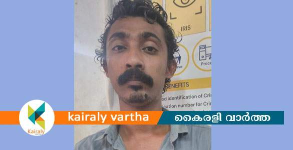 വീട്ടുമുറ്റത്ത് അതിക്രമിച്ച് കയറി ആക്രമണം: പേരൂർ സ്വദേശി അറസ്റ്റിൽ