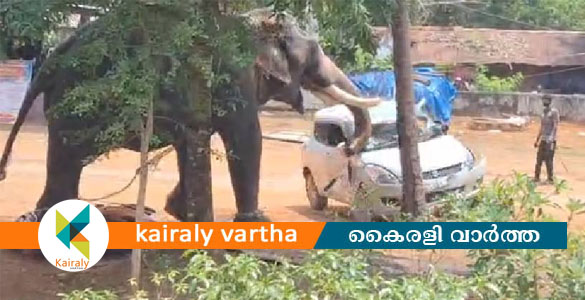 വിരണ്ടോടിയ ആനയുടെ ചവിട്ടേറ്റ് ഒരാള്&zwj;ക്ക് ദാരുണാന്ത്യം; രണ്ടാം പാപ്പാന് ഗുരുതര പരിക്ക്