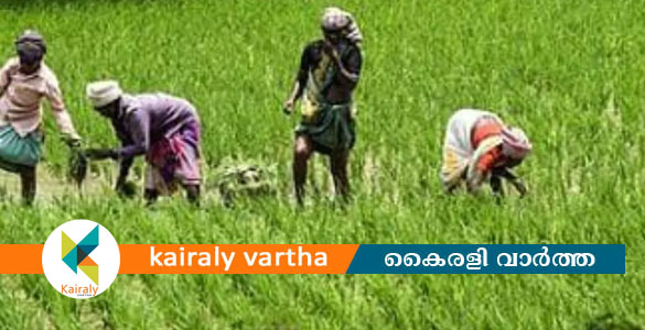 അഗ്രിസ്റ്റാക്ക് കർഷക രജിസ്ട്ഷൻ മെയ് 30 വരെ