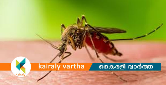 ആലപ്പുഴ ജില്ലയിൽ വയോധികയ്ക്ക് വെസ്റ്റ് നൈൽ പനി സ്ഥിരീകരിച്ചു