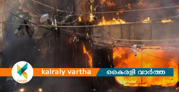 ഡല്&zwj;ഹിയിലെ മാളവ്യ ന​ഗറിലെ തീപിടിത്തം; ഹോട്ടൽ ഉടമ അറസ്റ്റിൽ