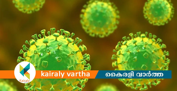 നിപ രോഗിയുടെ നില അതീവ ഗുരുതരം; പൂനെയിലെ പരിശോധന ഫലവും പോസിറ്റീവ്
