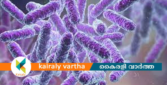 വയനാട്ടില്&zwj; ഏഴ് പേര്&zwj;ക്ക് കൂടി ഷിഗെല്ല സ്ഥിരീകരിച്ചു