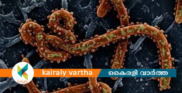 എ​ബോ​ള? വി​ദേ​ശ വ​നി​ത കോ​ട്ട​യം മെ​ഡി​ക്ക​ൽ കോ​ള​ജി​ൽ നി​രീ​ക്ഷ​ണ​ത്തി​ൽ