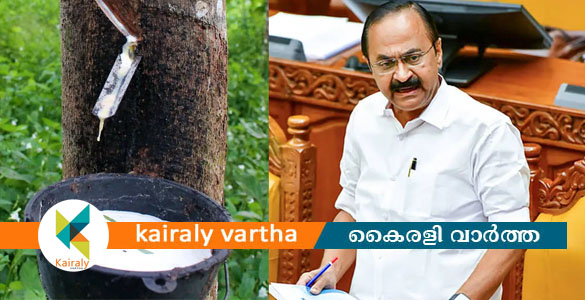 റബ്ബറിന്റെ താങ്ങ് വില 250 രൂപയാക്കും; ക്ഷീരവികസനത്തിനായി 102.88 കോടി രൂപ