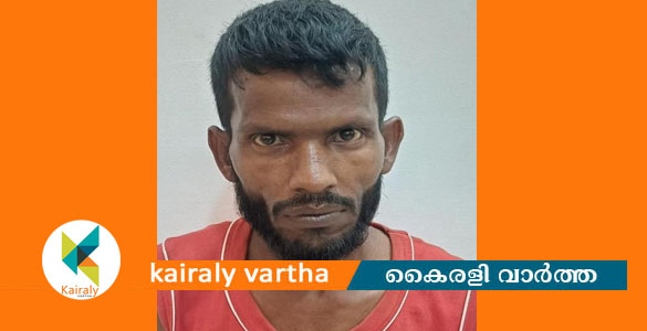 ഓപ്പറേഷൻ തൂഫാൻ: ഏറ്റുമാനൂരിൽ ആക്രി കച്ചവടം നടത്തുന്ന അന്യസംസ്ഥാന തൊഴിലാളി കഞ്ചാവുമായി പിടിയിൽ