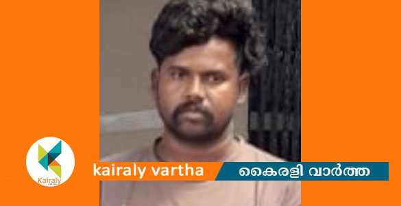 43 ലക്ഷം രൂപയുടെ സ്വർണാഭരണ മോഷണക്കേസിൽ മധ്യപ്രദേശ് സ്വദേശി അറസ്റ്റിൽ