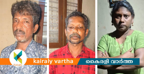 മണിമലയിൽ നാലു കിലോ കഞ്ചാവുമായി യുവതി അടക്കം മൂന്നു പേർ പിടിയിൽ