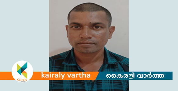 കോട്ടയം ജില്ലാ ആശുപത്രിയിൽ നിന്നും യുവതിയുടെ പണം മോഷ്ടിച്ച കേസിൽ പ്രതി പിടിയിൽ
