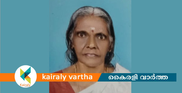 ഏറ്റുമാനൂർ കട്ടച്ചിറ പറപ്പള്ളിൽ പാറുക്കുട്ടിയമ്മ അന്തരിച്ചു