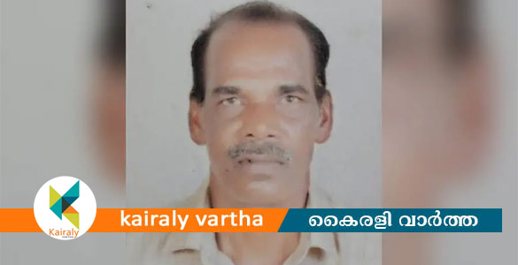 കാഞ്ഞിരപ്പള്ളിയിൽ പാമ്പുകടിയേറ്റ് തൊഴിലാളി മരിച്ചു