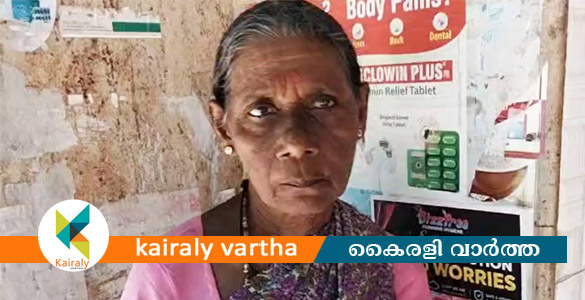 മുഖ്യമന്ത്രിക്ക് പരാതി നൽകാനെത്തിയപ്പോൾ പോലീസ് മർദിച്ചു; ആരോപണവുമായി വയോധിക