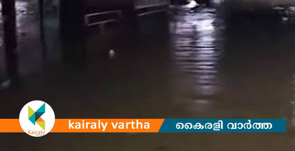 കനത്ത മഴ; കോട്ടയത്ത് കണ്&zwj;ട്രോള്&zwj; റൂമുകള്&zwj; തുറന്നു