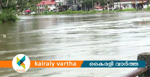 പാലായിലും പേരൂരിലും വെള്ളം ഇറങ്ങി; കുമരകത്തും തിരുവാര്&zwj;പ്പിലും അപകടനില