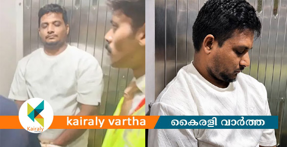 വിമാനയാത്രക്കിടെ എമര്&zwj;ജന്&zwj;സി വാതില്&zwj; തുറക്കാന്&zwj; ശ്രമം; പാലക്കാട് സ്വദേശി അറസ്റ്റില്&zwj;