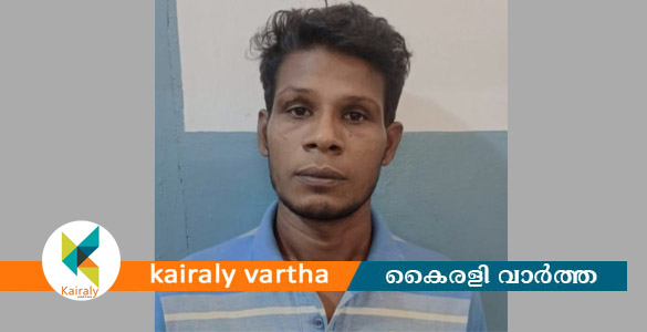 കോട്ടയത്ത് അധ്യാപികയുടെ ബാഗ് മോഷ്ടിച്ച കേസിൽ കുപ്രസിദ്ധ മോഷ്ടാവ് പിടിയിൽ