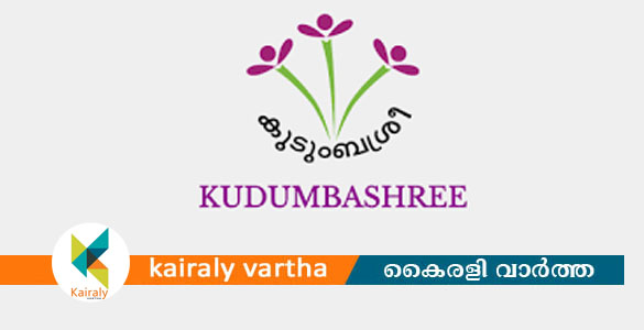 കെ ഡിസ്&zwnj;കില്&zwj; നിന്ന് കുടുംബശ്രീ പുറത്ത്; സർക്കാർ&zwnj; ഉത്തരവിറക്കി