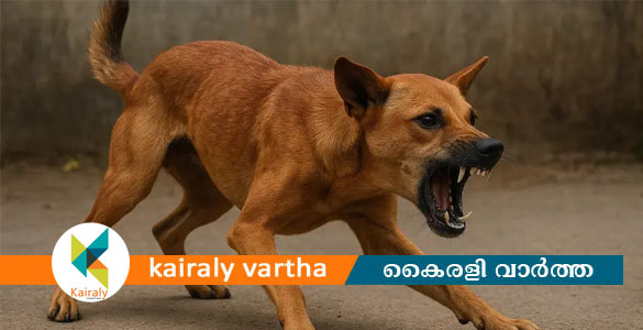 തിരുവല്ലത്ത് തെരുവുനായയുടെ ആക്രമണം: സ്ത്രീകളും കുട്ടികളും അടക്കം 11 പേർക്ക് കടിയേറ്റു