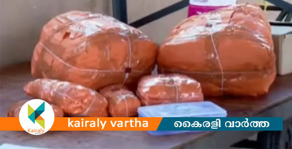 കോഴിക്കോട് റെയില്&zwj;വേ സ്റ്റേഷനില്&zwj; 19 കിലോ കഞ്ചാവുമായി യുവതി അറസ്റ്റിൽ