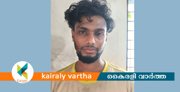കടുത്തുരുത്തിയിൽ എം.ഡി.എം.എയും ഹാഷിഷ് ഓയിലും കഞ്ചാവുമായി യുവാവ് പിടിയിൽ
