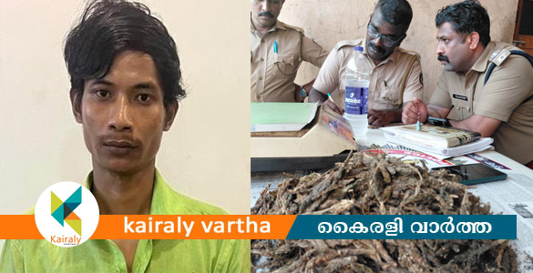 ചങ്ങനാശേരിയിൽ 500 ഗ്രാം കഞ്ചാവുമായി അസം സ്വദേശി പിടിയിൽ