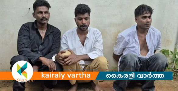 പാലായിൽ പൊലീസുകാരനെ കാറിടിപ്പിച്ചു കൊലപ്പെടുത്താൻ ശ്രമം; കഞ്ചാവുമായി 3 പേർ പിടിയിൽ