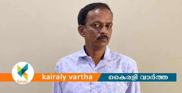 ബാങ്കുകളിൽ മുക്കുപണ്ടം പണയം വെച്ച് ലക്ഷങ്ങൾ തട്ടിയ കേസിൽ പ്രതി അറസ്റ്റിൽ