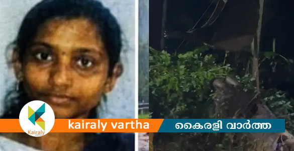തീക്കോയിയില്&zwj; മണ്ണിടിച്ചില്&zwj;; ഇരുചക്ര വാഹന യാത്രികയ്ക്ക് ദാരുണാന്ത്യം