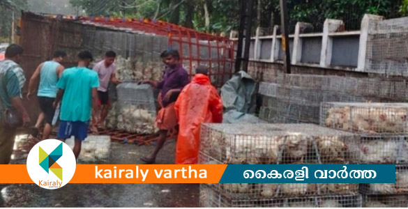 പാലായിൽ ഇറച്ചി കോഴികളുമായി വന്ന ലോറി മറിഞ്ഞ് അപകടം