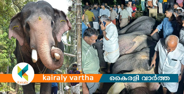 ഗജരത്നം പല്ലാട്ട് ബ്രഹ്മദത്തൻ ഇടിമിന്നലേറ്റ് ചരിഞ്ഞു